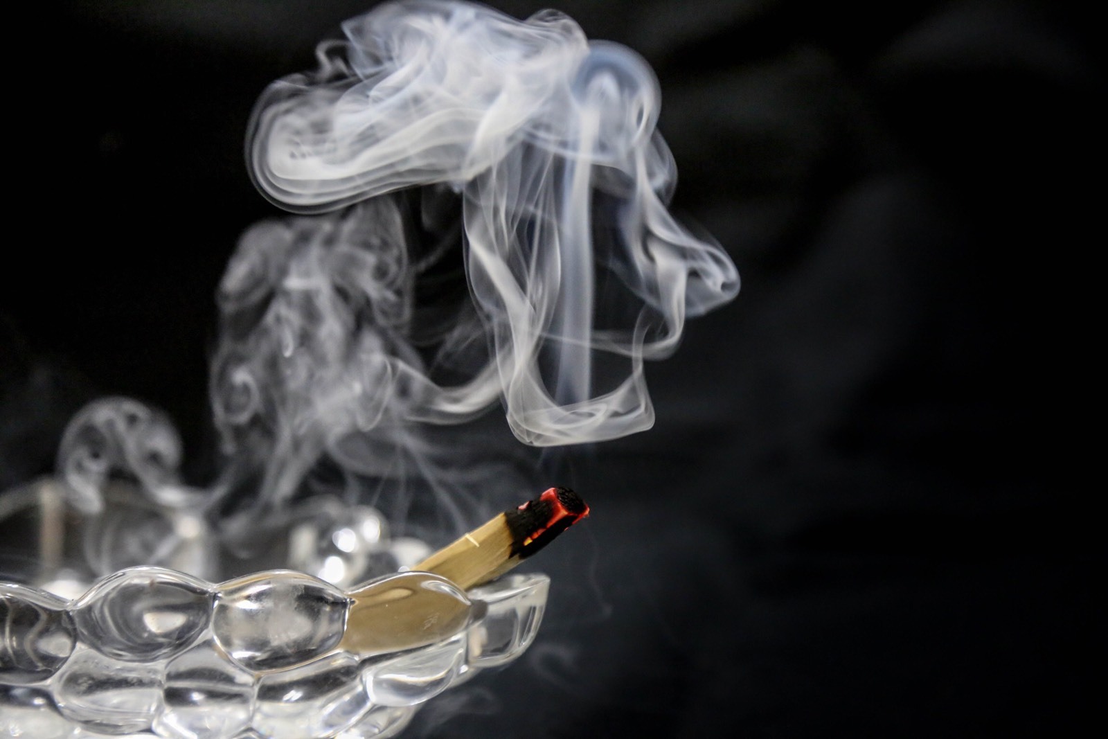 Palo Santo 1 LB Bag (75 STICKS APPROX - 4+inches long)