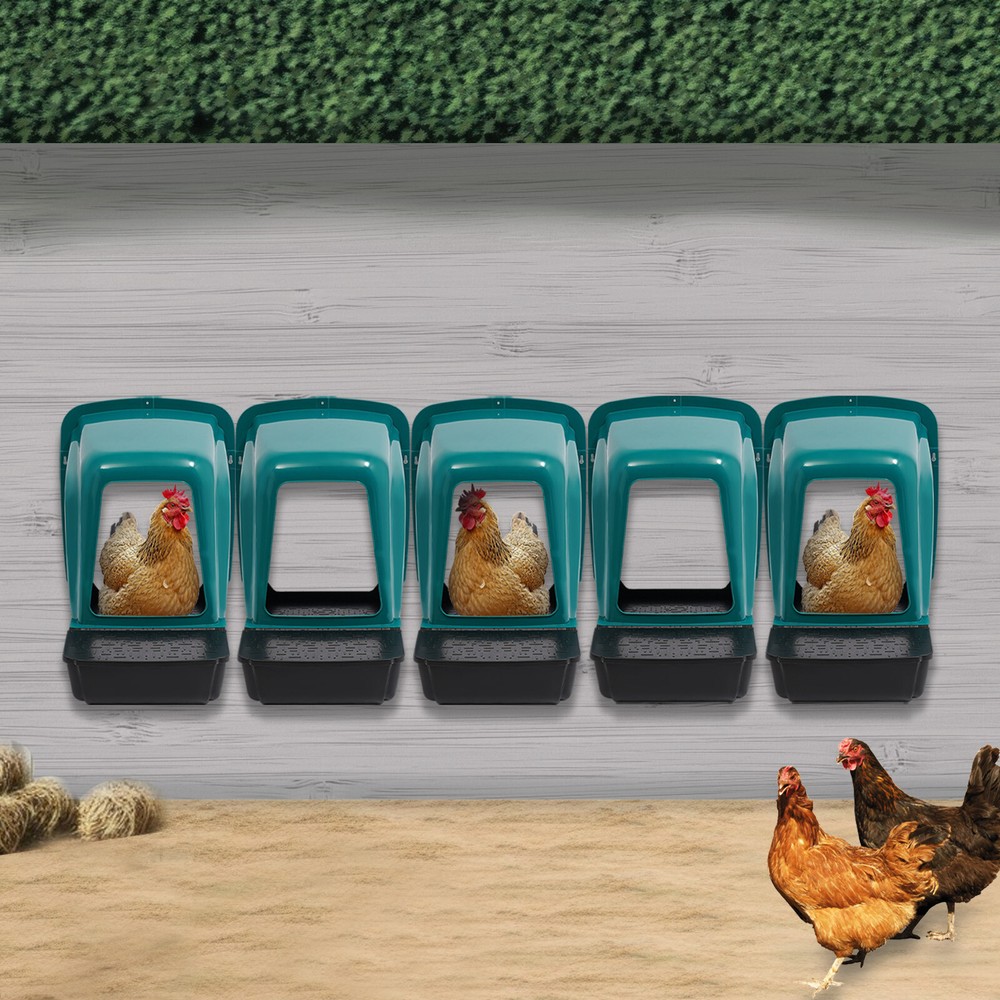 5-Pieces Nesting Boxes Eggs Chicken Nesting Box Case For Chicken Coops Laying