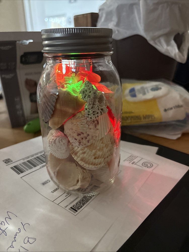 Shells In Lighted Jar