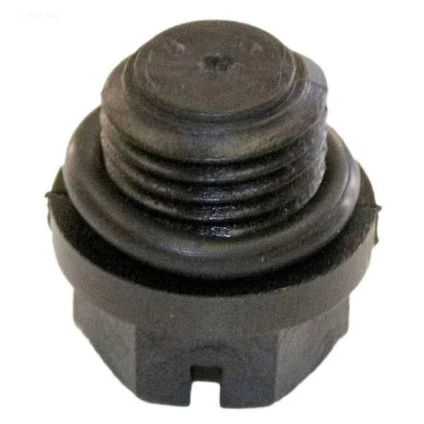 Hayward Pipe Plug w/Gasket
