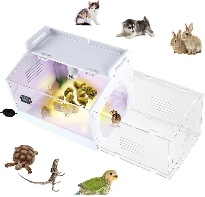 Iarge-Scale Chick brooder Box Quail Cage Egg Incubator Chick Starter Kit Chic...
