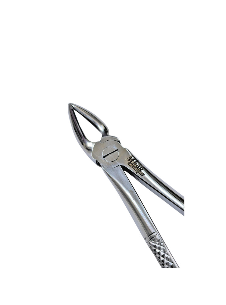 Dental Extraction Curved Forceps 7"