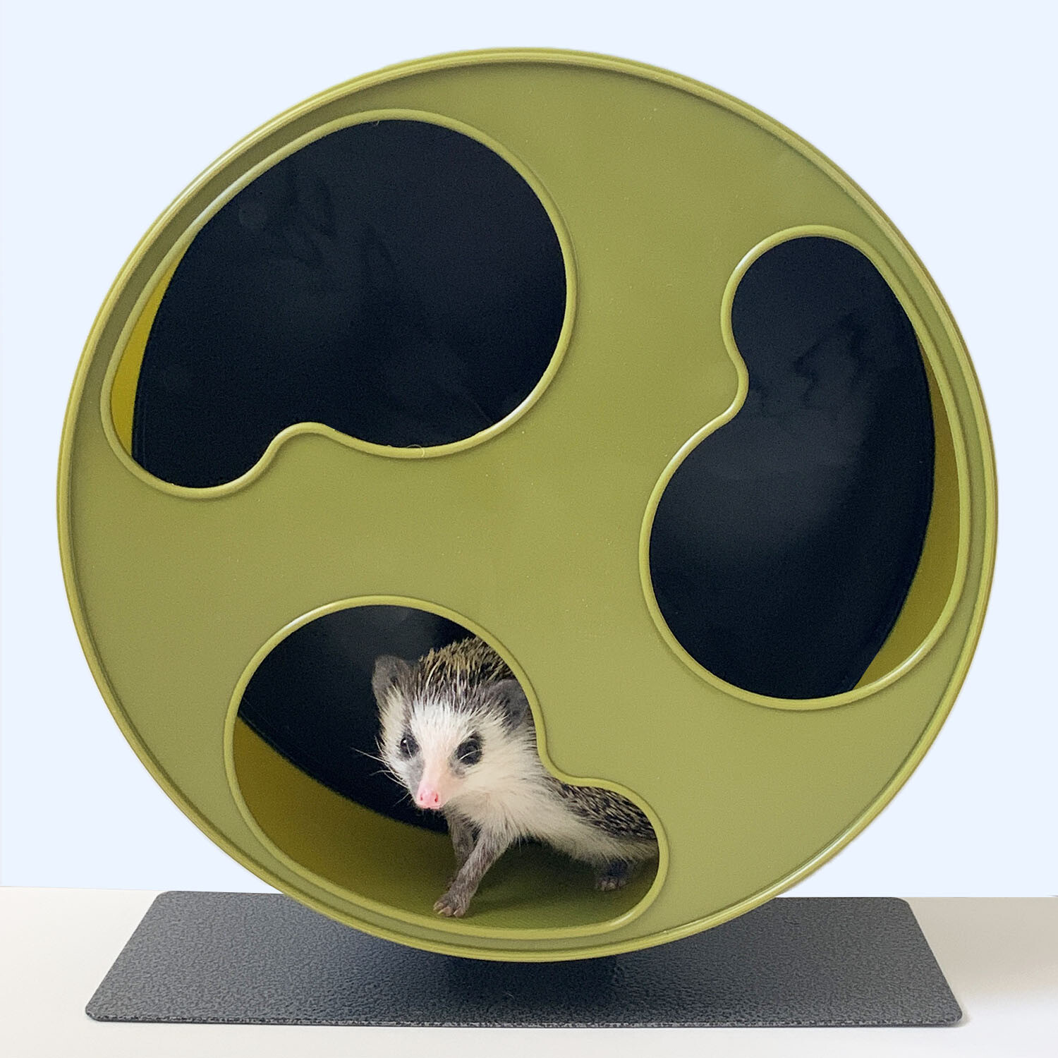 Silent Runner Wheel 12" Wide - Pet Exercise Wheel - Hedgehog, Sugar Glider, Rat