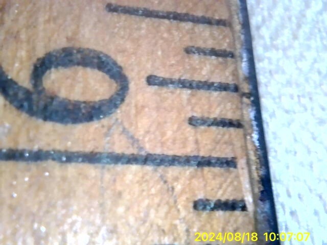 Teslong Otoscope Camera Tested Works