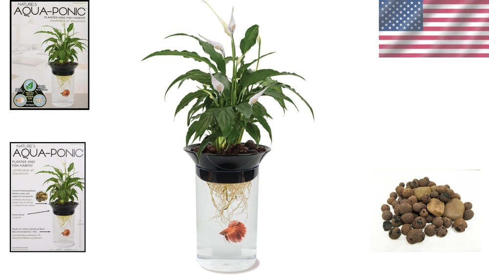 Aquaponic Planter for Betta Fish