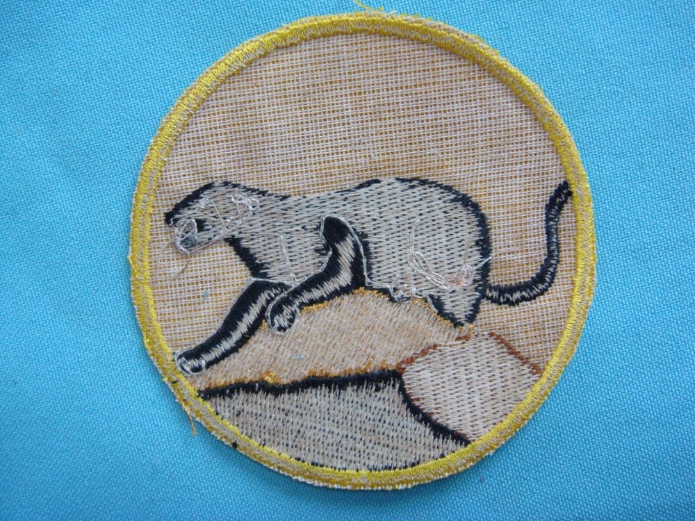 PATCH US AIR FORCE 554th FIGHTER-BOMBER SQUADRON