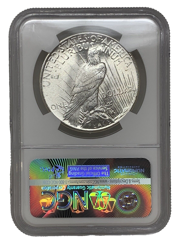 1925-P 1$ SILVER PEACE DOLLAR BLAST-WHITE NG MS-65