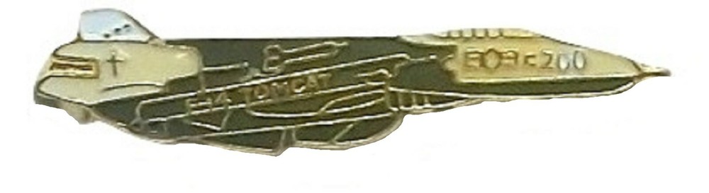 F-14D Tomcat Hat Tac or Lapel Pin