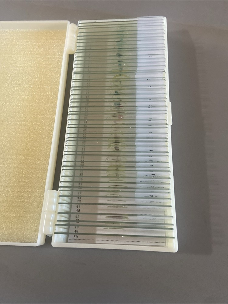 Maxlapter 49 Microscope prepared slides Insect Plant Human Microorganisms