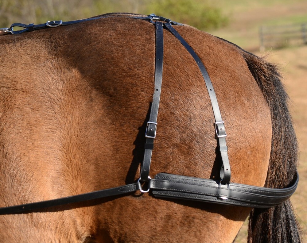 COB SIZE Any Color SADDLE BREECHING made from Beta Biothane