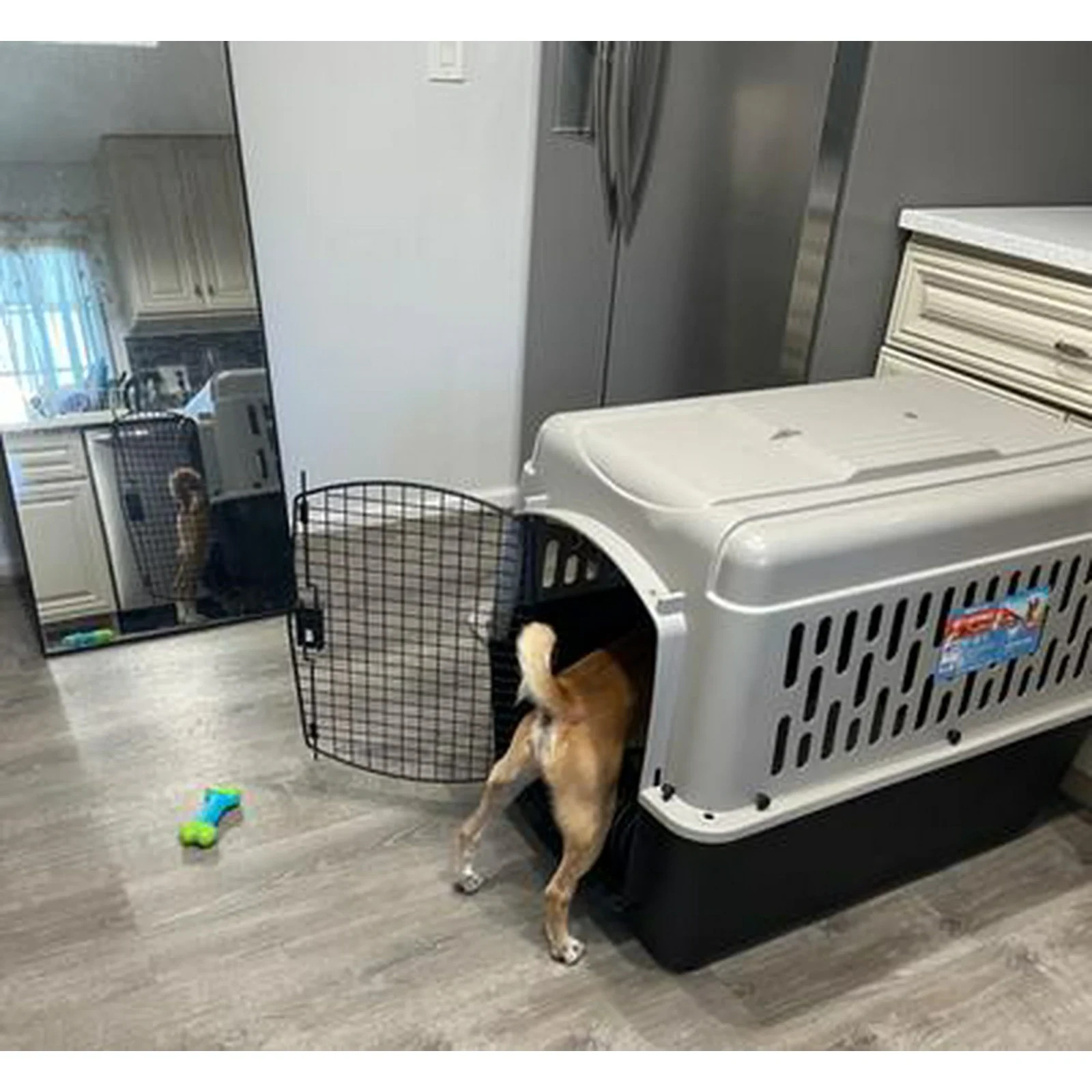 Vibrant Life Pet Kennel 32" Medium Plastic Portable for Pets 30 to 50 lbs, Gray