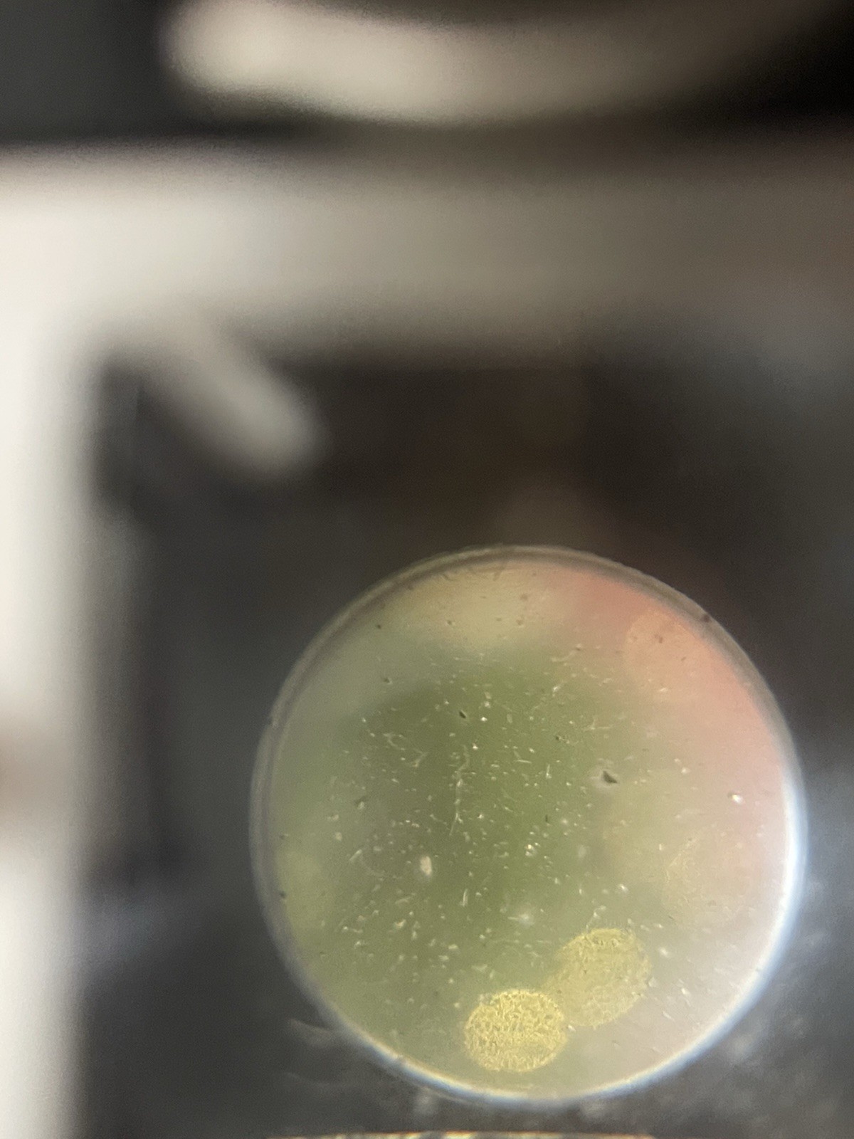 Vintage Kodak Brownie Hawkeye Flash Outfit Model Camera w/Original Box Plus Film