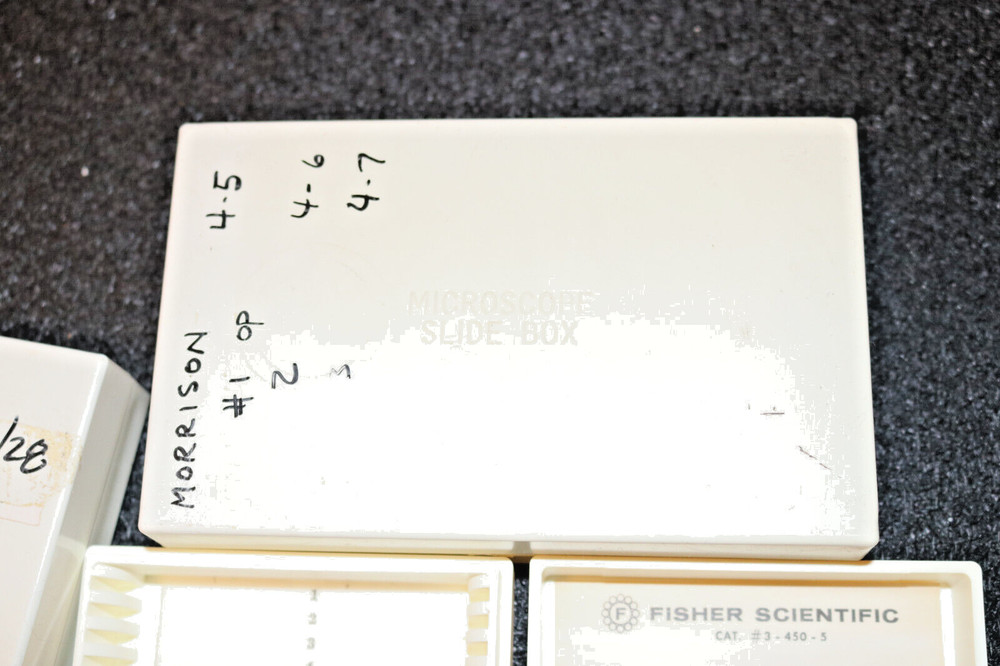 Fisher Scientific Microscope Slide Boxes for 25 slides #3-450-5