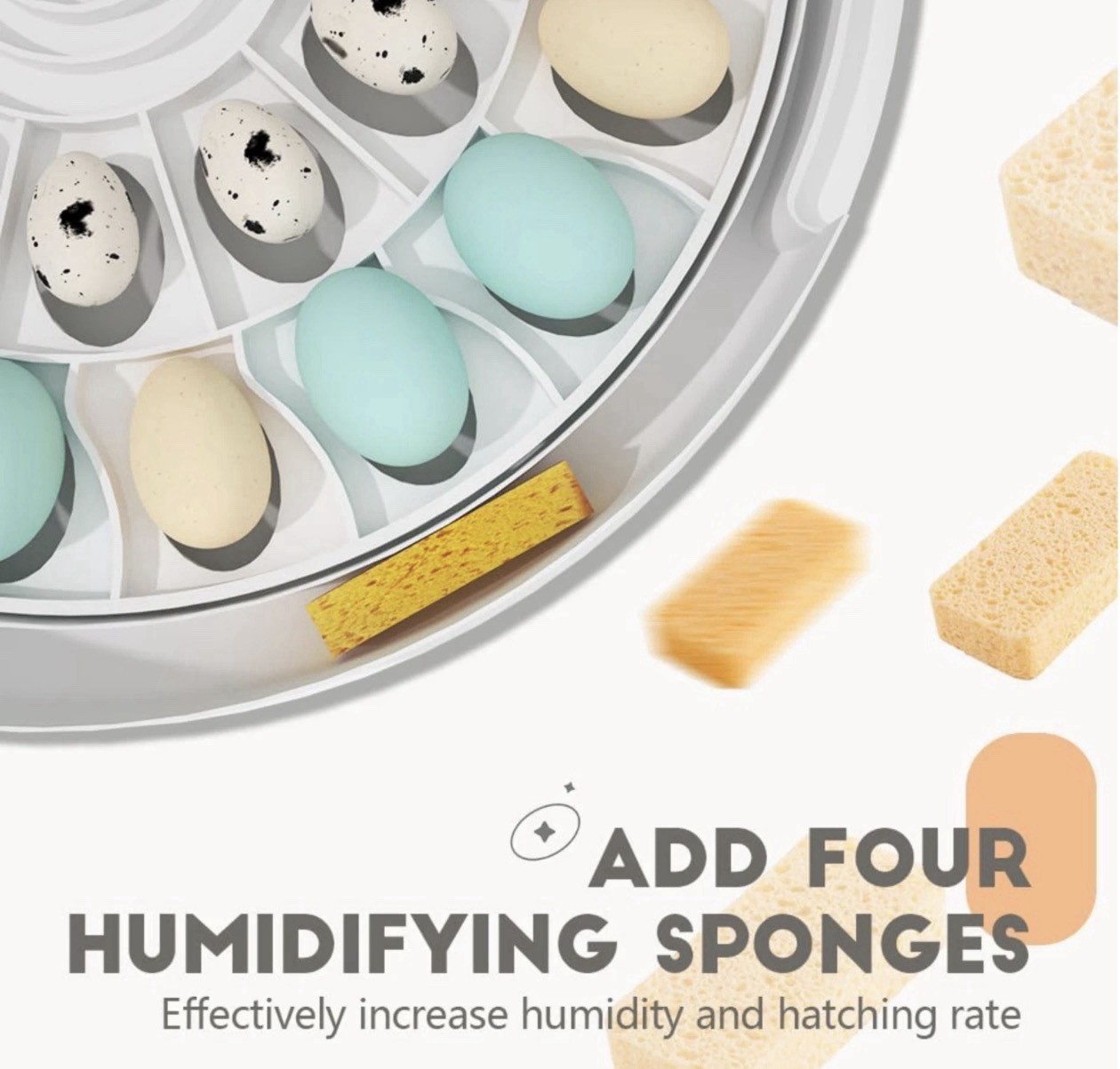 MeeF incubators for Hatching Eggs Automatic 30 Eggs Incubator with Tur