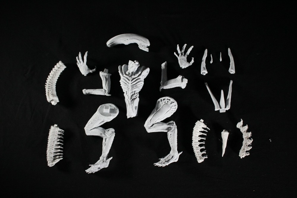 Alien Xenomorph 3D Print Diorama Model Kit 