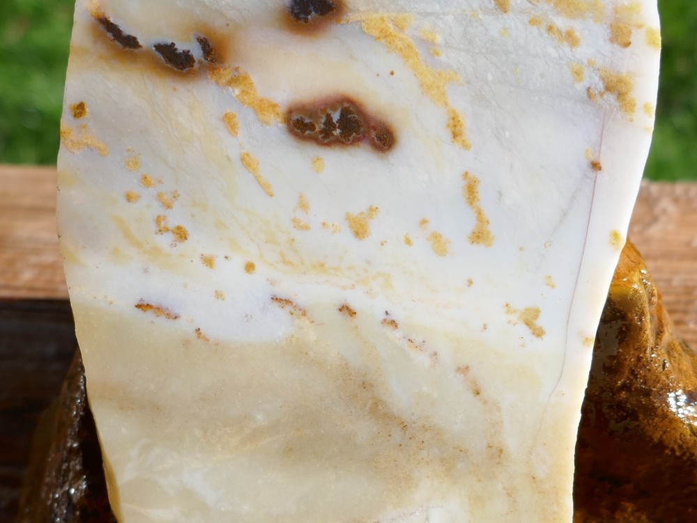 TCR Polka Dot Agate Treasure *Rough Slab 122grams – Dendritic patterns | Oregon