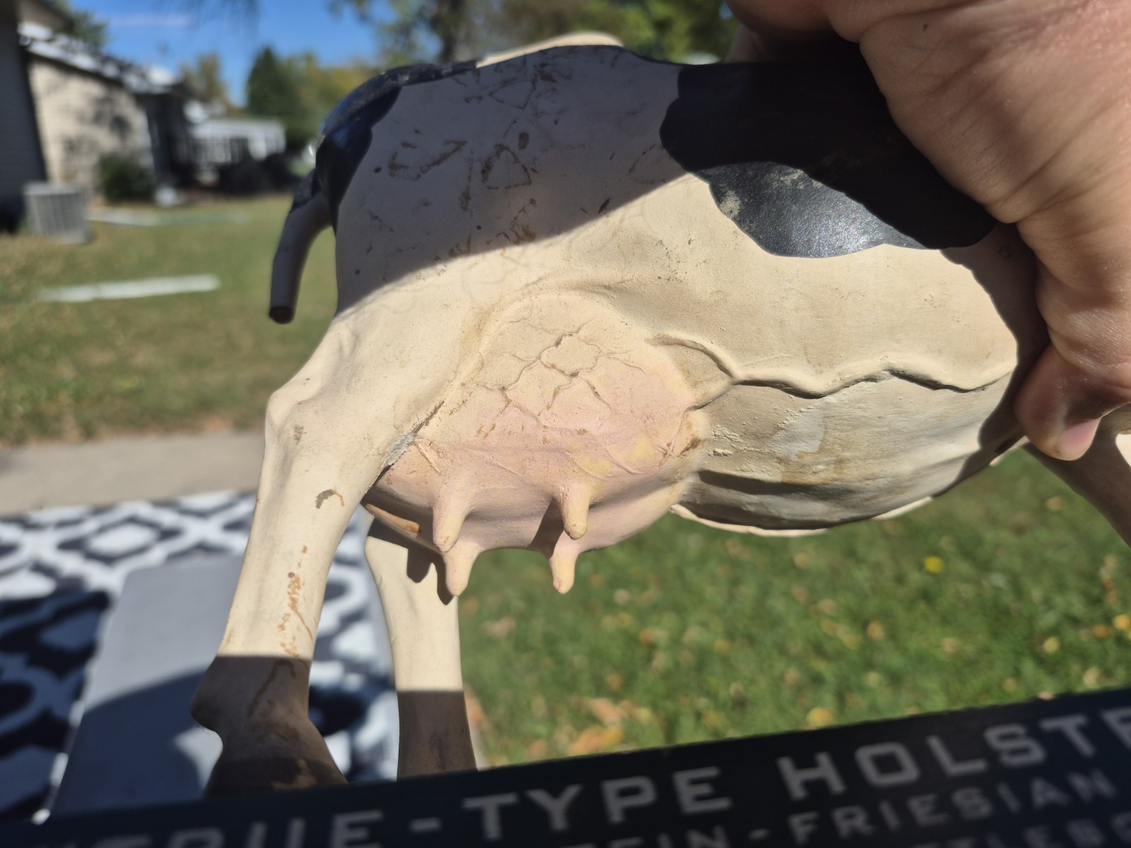 Vtg 1950s True Type Holstein Friesian Large Cow Brattleboro VT Store Display