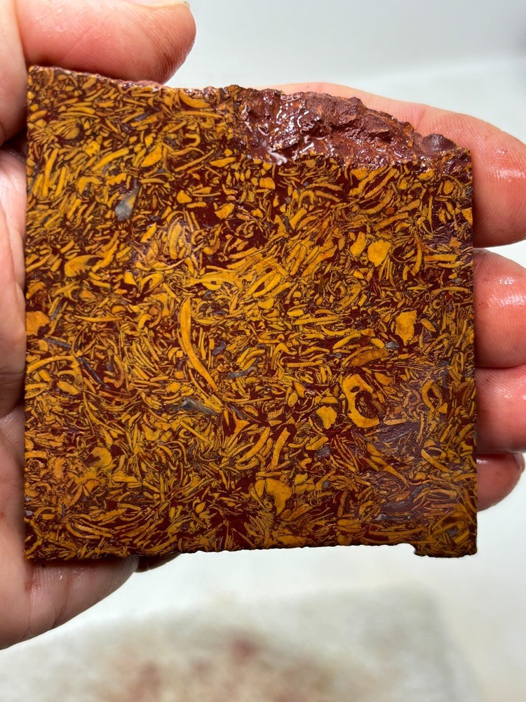 Script Stone Jasper Slab Cabbing Lapidary Collecting Combo Ship Avail