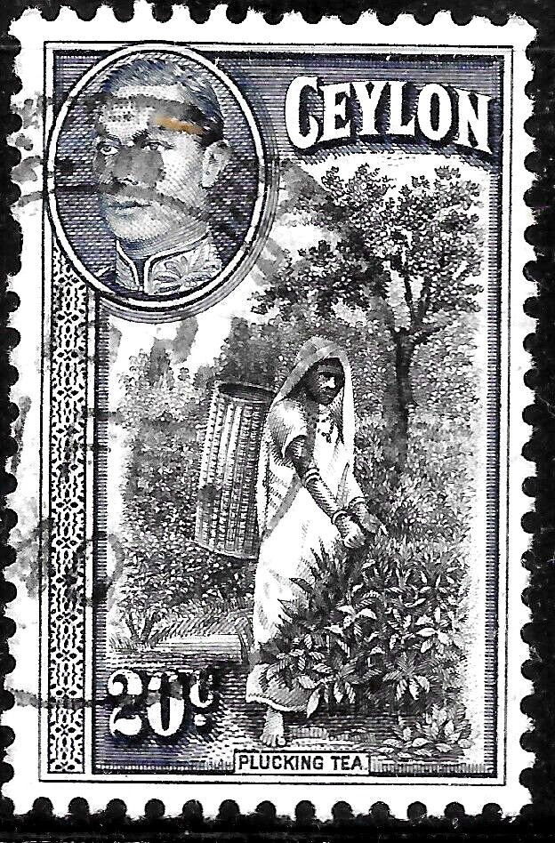 1938 Ceylon Sc#283 USED PLUCKING TEA