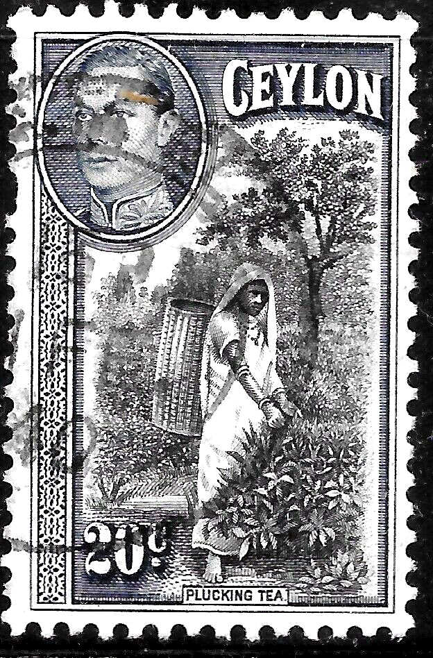 1938 Ceylon Sc#283 USED PLUCKING TEA