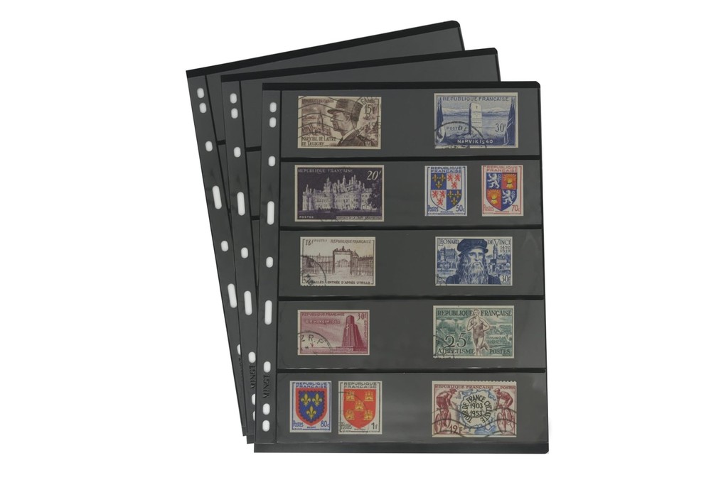 10Pcs Standard 9-Hole Double-Sided Album Inner Sheets Card Stamp Banknote Col...