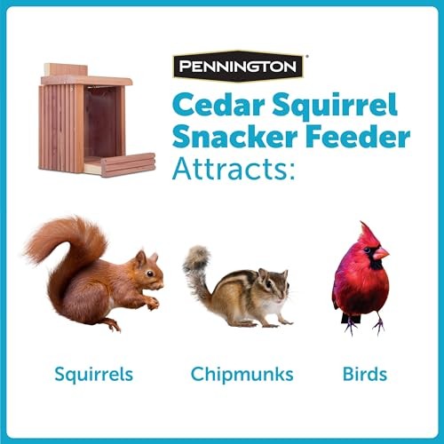 Pennington Cedar Squirrel Snacker Feeder, 2.75 LB Pounds Capacity,