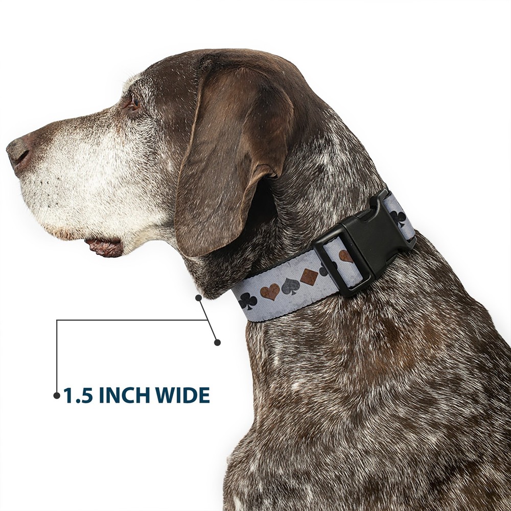 Plastic Clip Collar Suits Gray Stone NARROW-Medium 8.5-12"