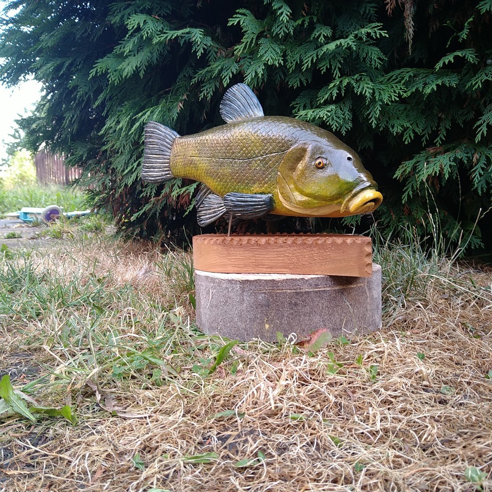 Tench Fishing , fish