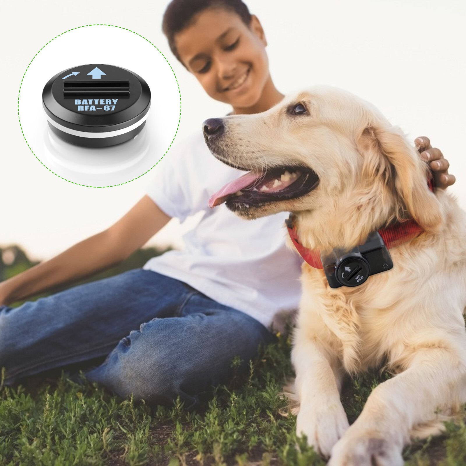 RFA-67 Battery for PetSafe Dog Fence Collar Receiver PIF-275-19 300 PUL-275 Lot