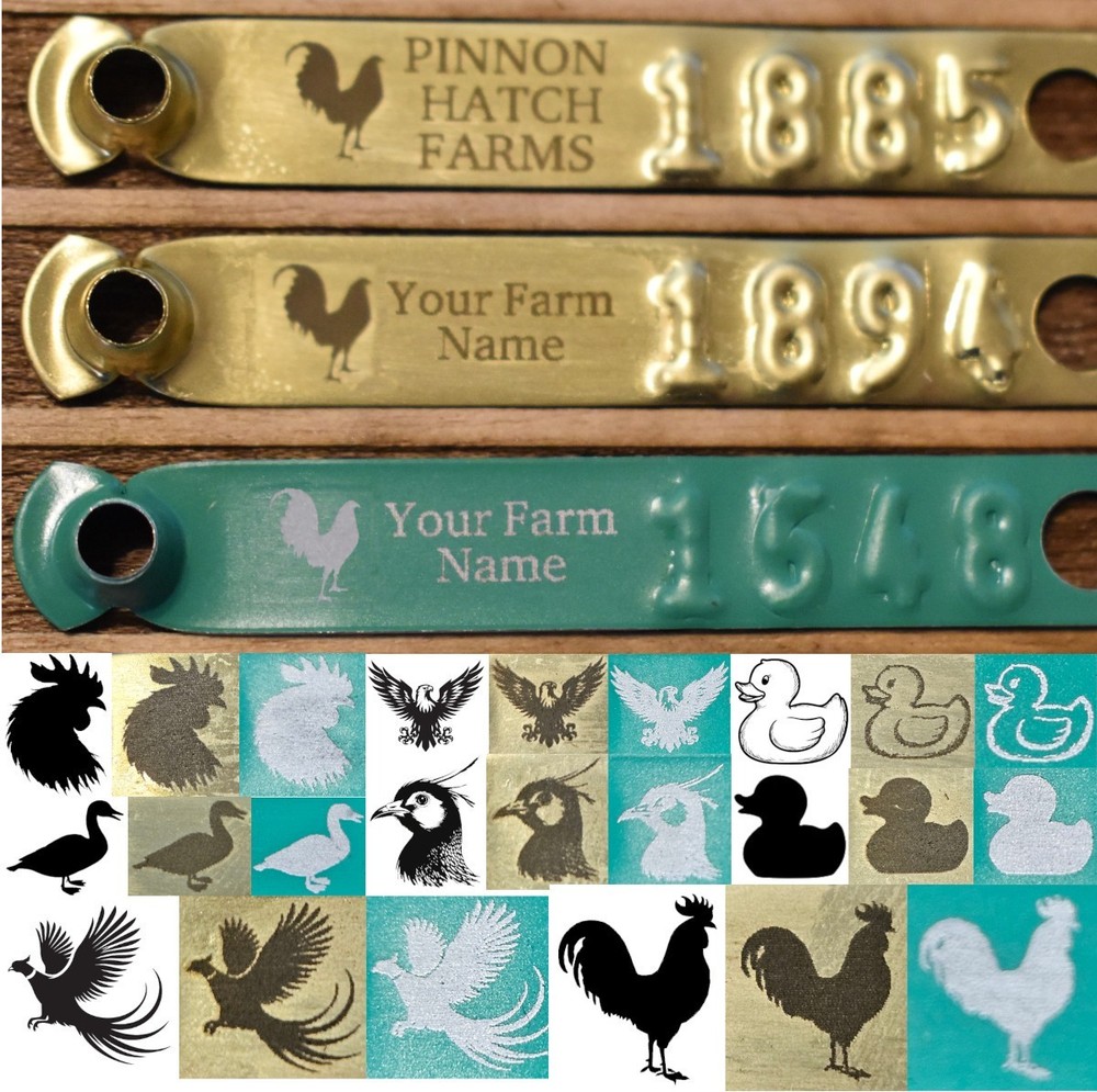 100pk Customized Laser Engraved Leg Bands ID Tags w/ Text & Bird Artwork