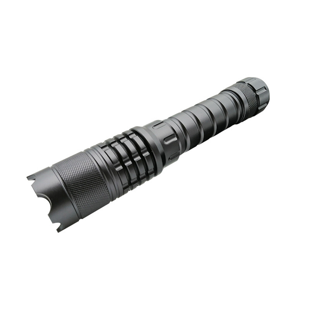 450NM Laser Pointer Adjustable Focus Light Visible Beam Light Battery & Charer