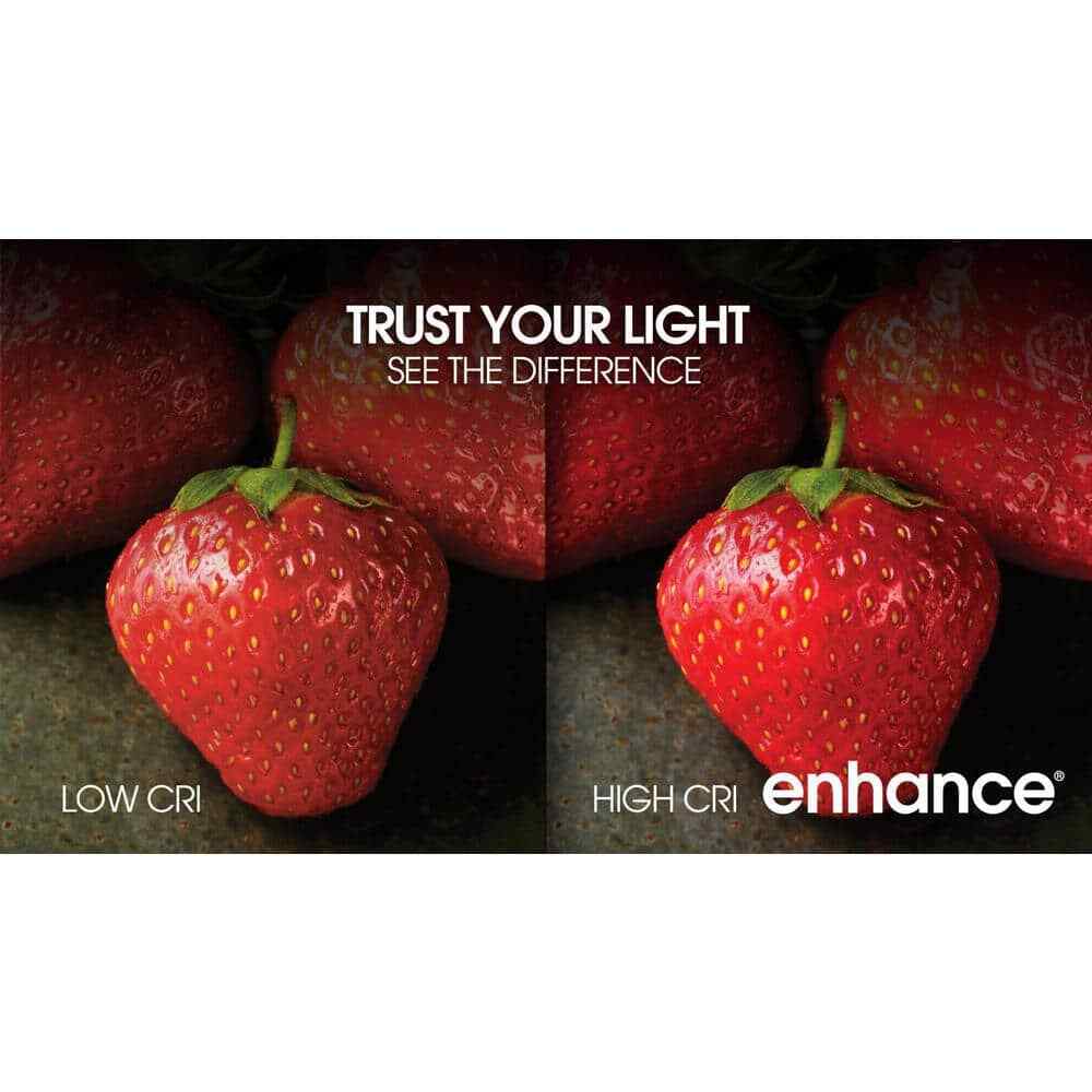 Feit Electric 40-Watt Equivalent BA10 E12 Light Bulb, Soft White (2-Pack)