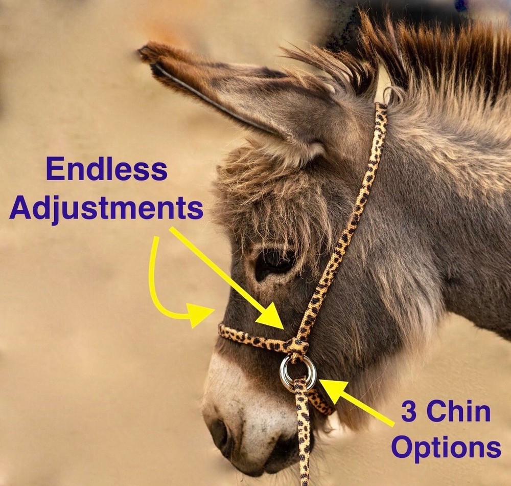 Halter All MEDIUM Donkey / Mule Endless Adjustable Halter & Lead colors USA