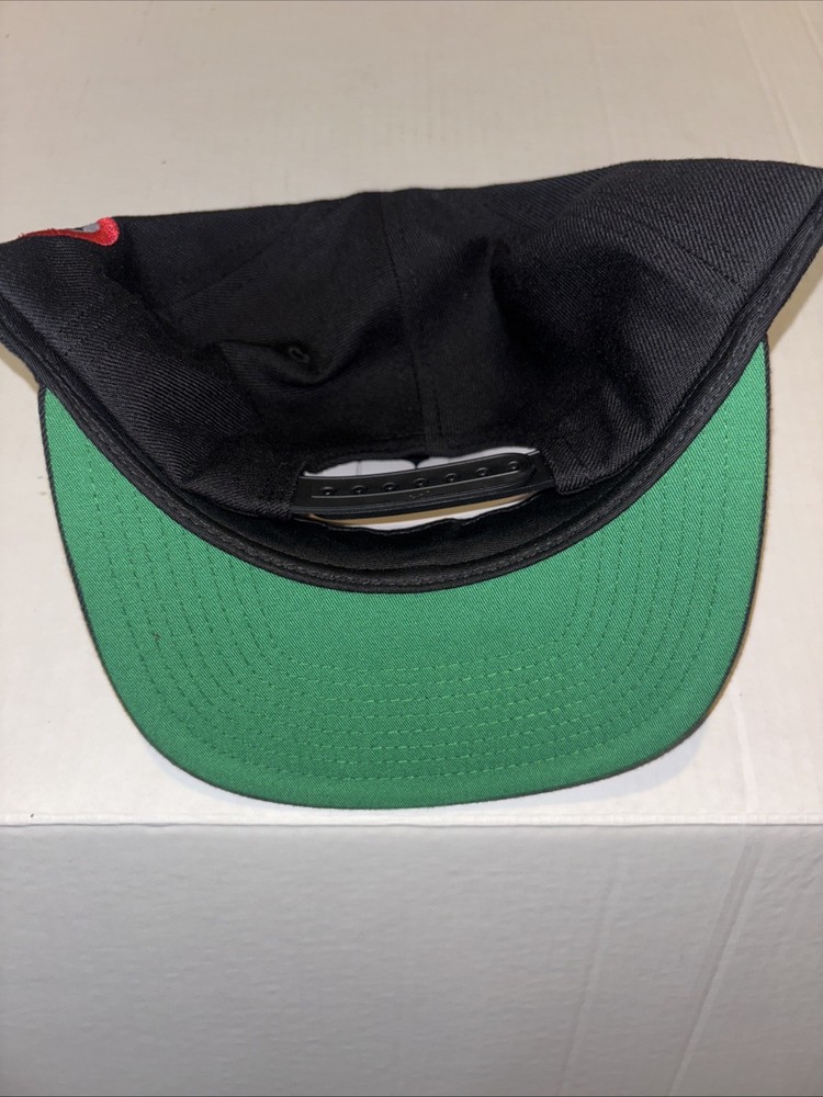 Teamsters No Ratas Snap Back Black