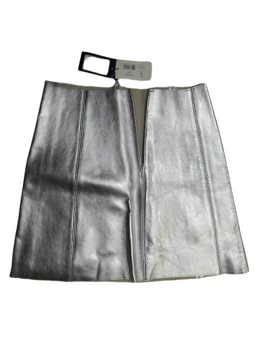 Sliver Mini Skirt
