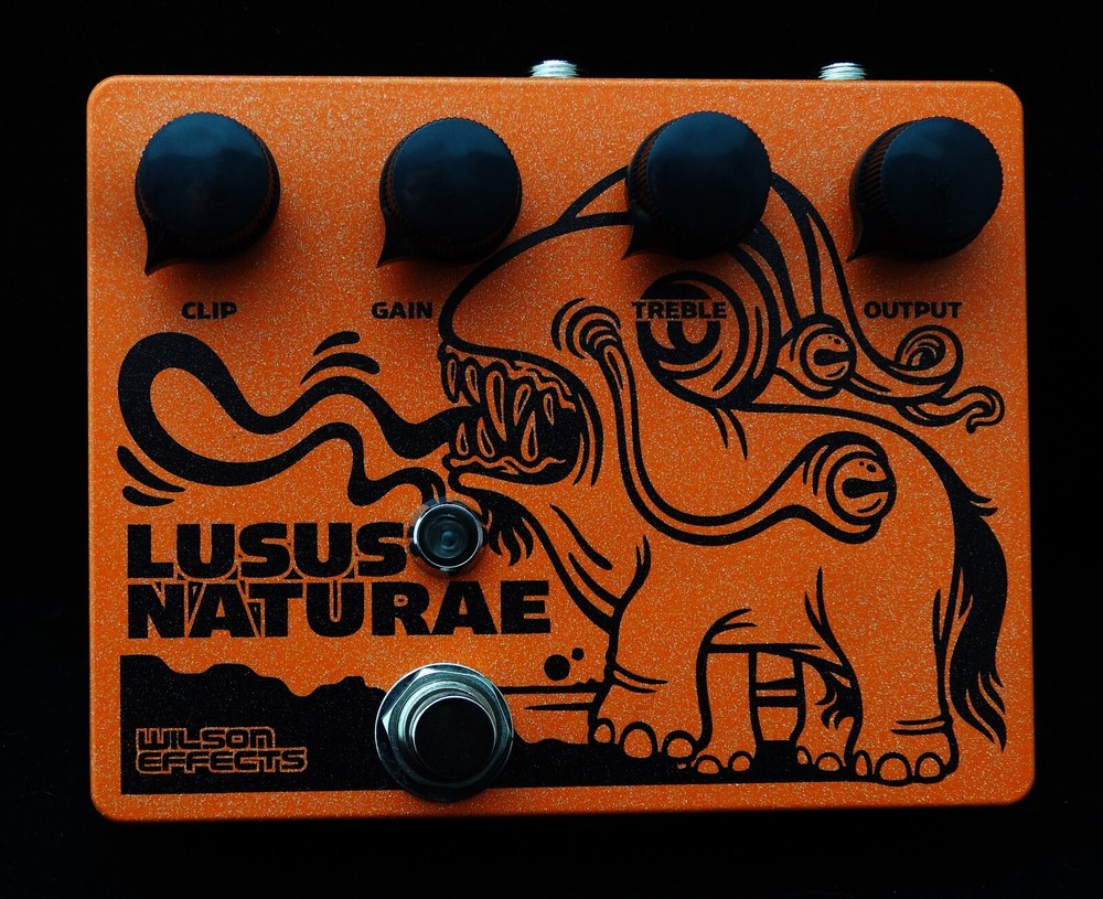 Wilson Effects Lusus Naturae