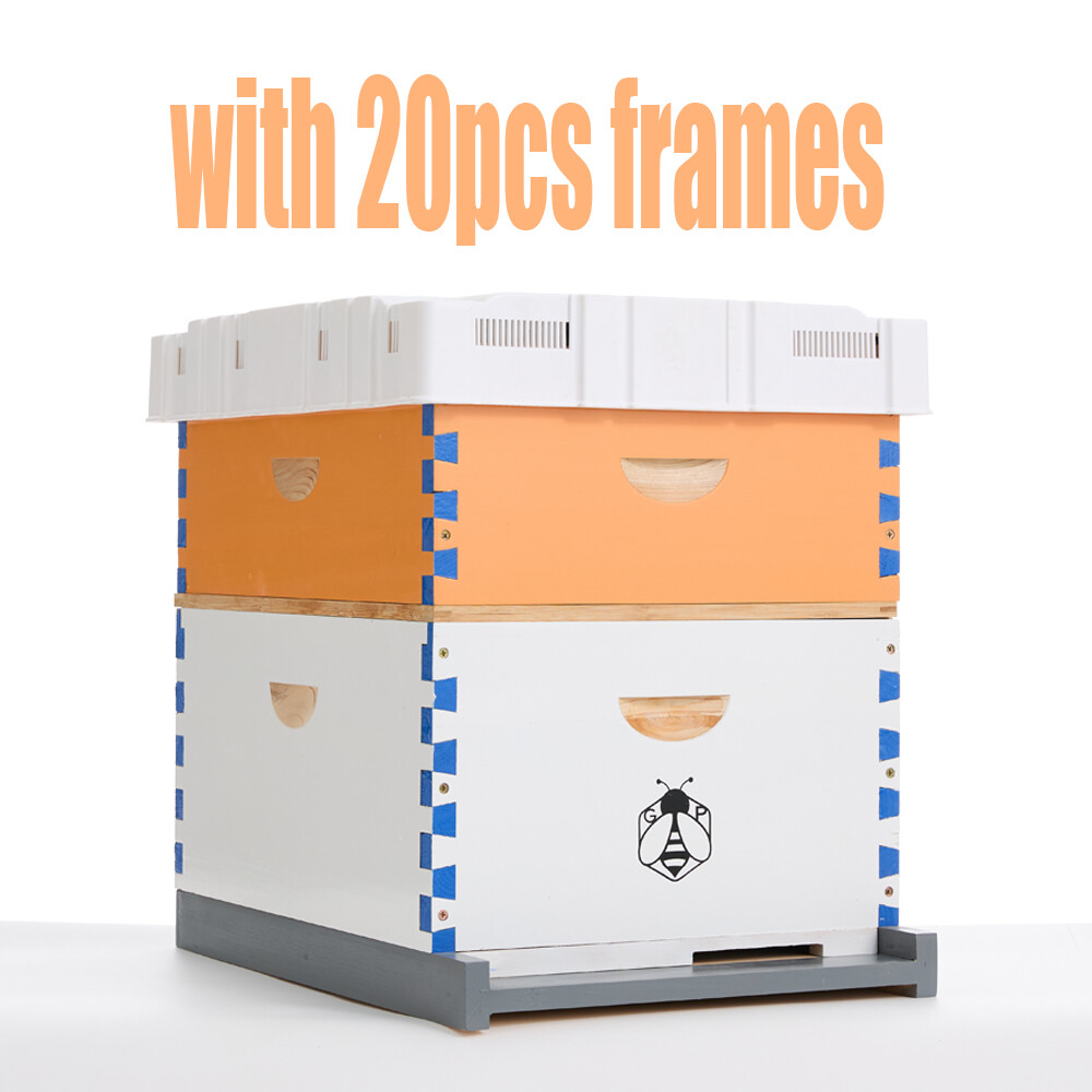 Langstroth Hive Beehive Kit - 20 Frame Box 10 Deep 10 Medium Beekeeping