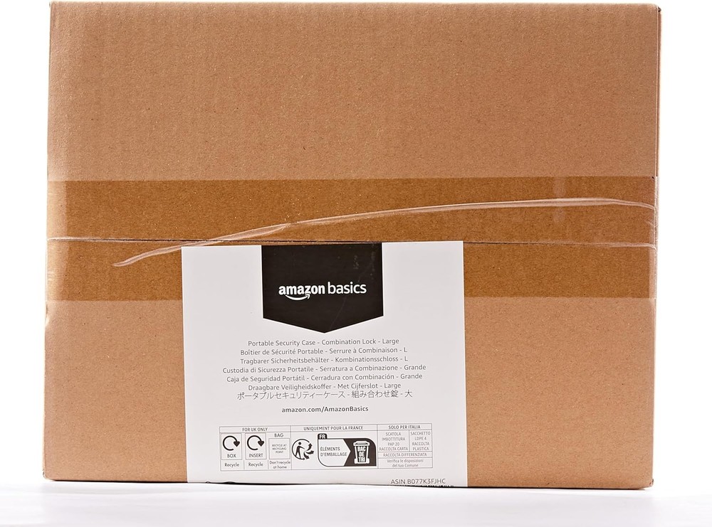 Amazon Basics Portable Security Case Lock Box Safe, Small Large, Black