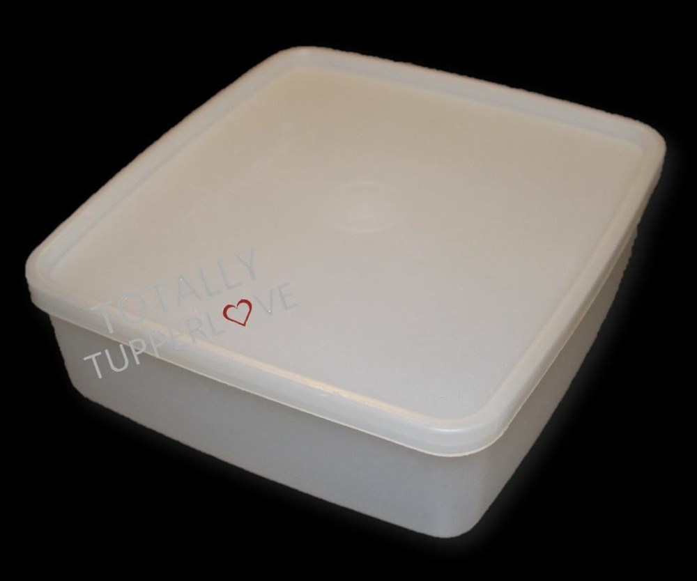 Tupperware Square Round Keeper Frosted Sheer Lunch Box w/ Seal EUC ❤️