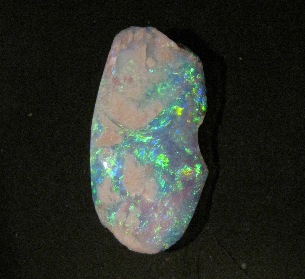 O&Co rough opal coober pedy опал fossil shell collection 9.90cts