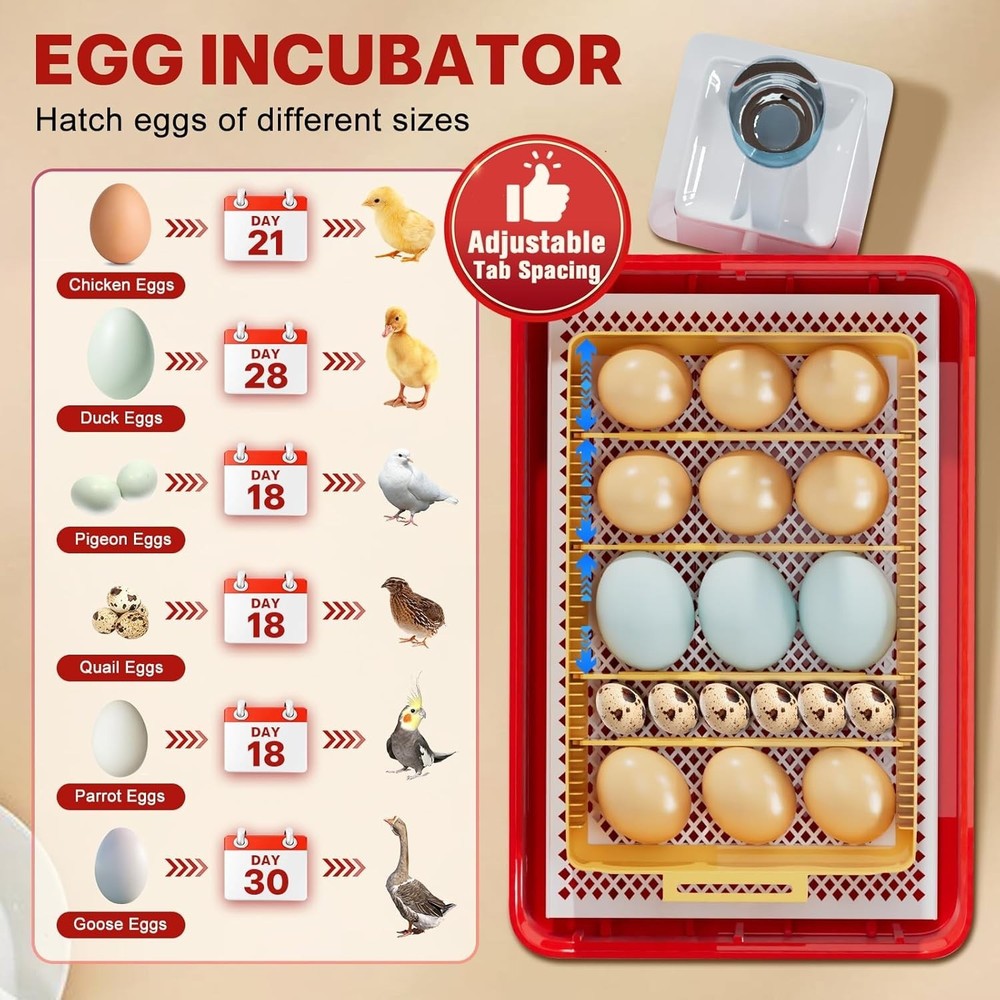 35 Eggs Incubator Automatic Pet Bird Chicken Hatcher Incubators for Hatching Egg