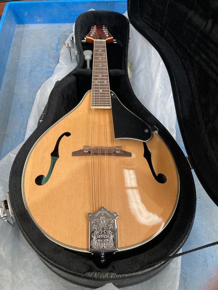 Taurus Mandolin TM-003 (Damaged case, cosmetic damage)