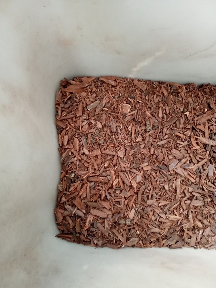 Acacia Tree Bark 100g