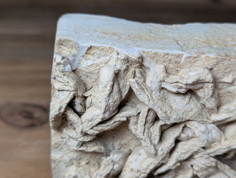 Colony Trace Fossil