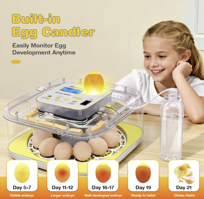 12 Egg Incubators for Hatching Eggs with Automatic Egg Turning and Humidity-FREE