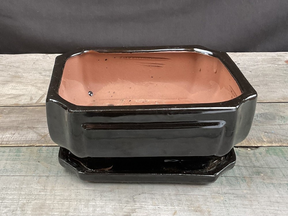 Glazed -Pro Bonsai Pot-w/Tray, Screen And Wire