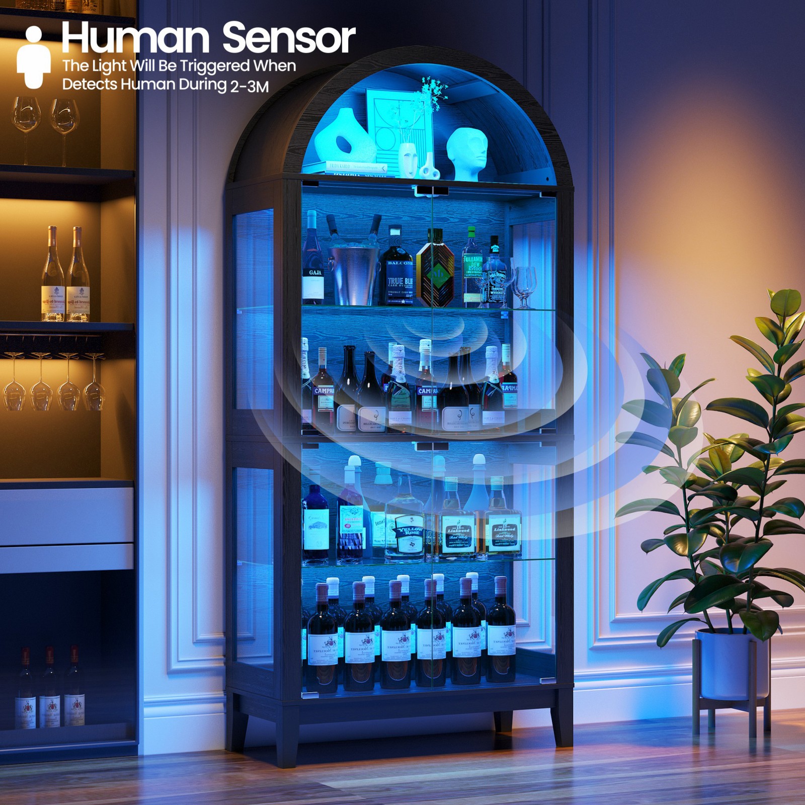 Black Curio Cabinet with Glass Doors, 69" Arched Display Cabinet with RGB Lights