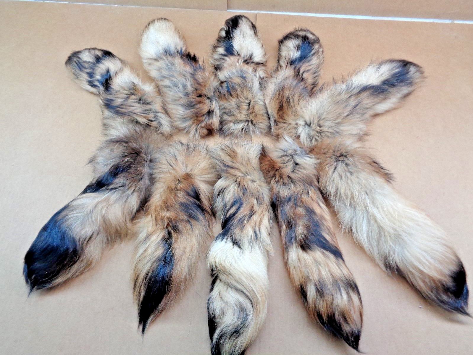 Rare #1 Quality Super Soft XL Tanned Finn coon Tail/Tanuki/Crafts/Coyote Tail