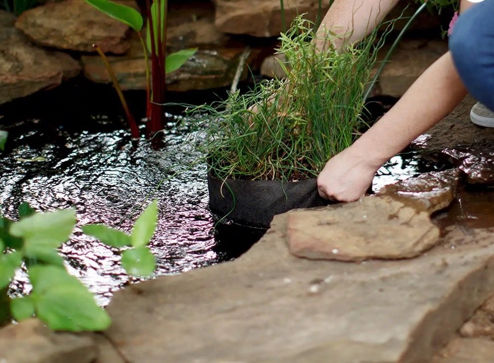 Smart Pot Pond-Pots #2 (2 gallon)