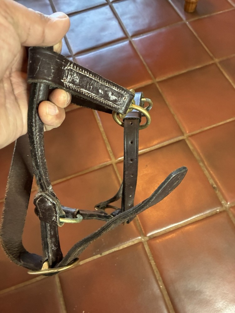 LEATHER THICK TRIPLE STITCHED HORSE SIZE HALTER
